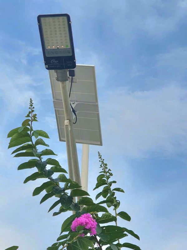 DQA Solar – dqasolar.com